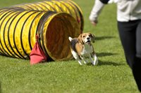 Q76GxiJ3SS6V8oeSDXeV_iStock-470001018-1.jpg