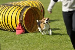 Q76GxiJ3SS6V8oeSDXeV_iStock-470001018-1.jpg