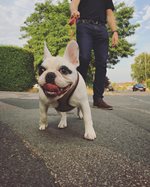 RaUZmzzsRD692ASjnjWD_iStock-999490664-1.jpg