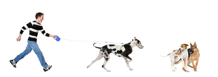 WRGXC1TRf6eQHhXUUeJp_iStock-93216878.jpg