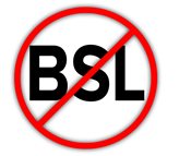 BSL-Logo1.jpg