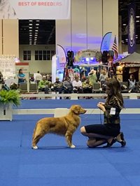 1Zf8B2jWRPWd65UejaWc_Woody-Toller.jpg