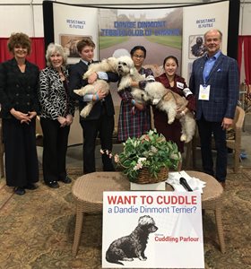 xcvUoCzKRTK3TaGRCAWP_3-of-the-4-winners.jpg