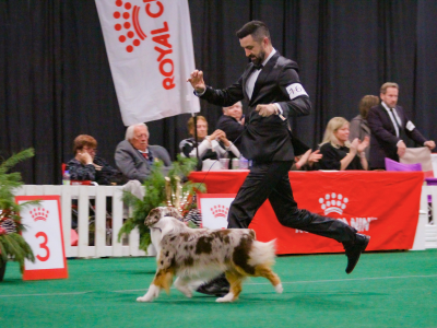 National-Show-3.png National-Show-3.png