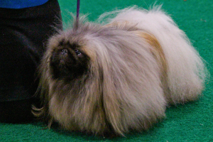 National-Show-5.png National-Show-5.png