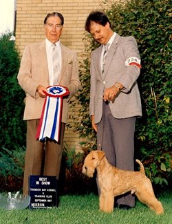 LakelandDanny - 1989 Ch. Jamelyn Second Edition; Lakeland Terrier - photo courtesy of Richard Paquette