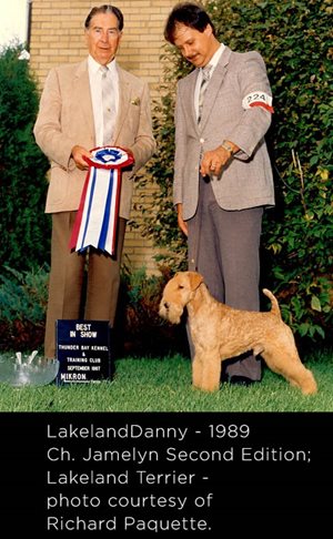 LakelandDanny - 1989 Ch. Jamelyn Second Edition; Lakeland Terrier - photo courtesy of Richard Paquette. LakelandDanny - 1989 Ch. Jamelyn Second Edition; Lakeland Terrier - photo courtesy of Richard Paquette.