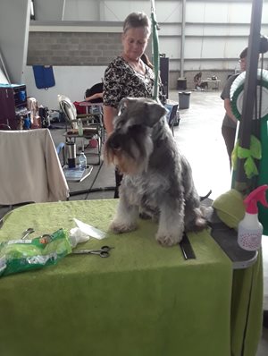 fyveKw2IS2OtHmdSZH9K_RC-AR-July-6-7-2019-039.jpg