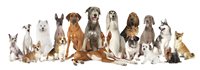 iStock-904428246.jpg