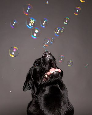 FHVkxoGSU2oWQGpqDSVw_iStock-951890964.jpg