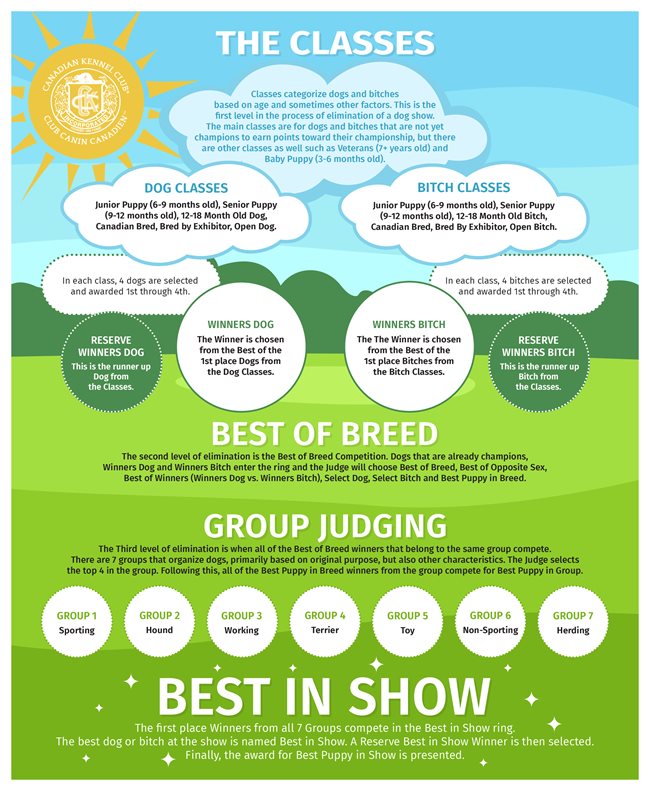 qdrJlOu3R26R6BXedFH4_BIS-InfographicENG.jpg