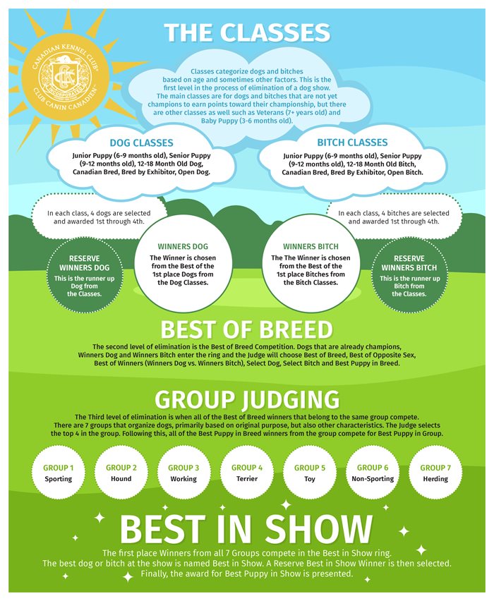 qdrJlOu3R26R6BXedFH4_BIS-InfographicENG.jpg