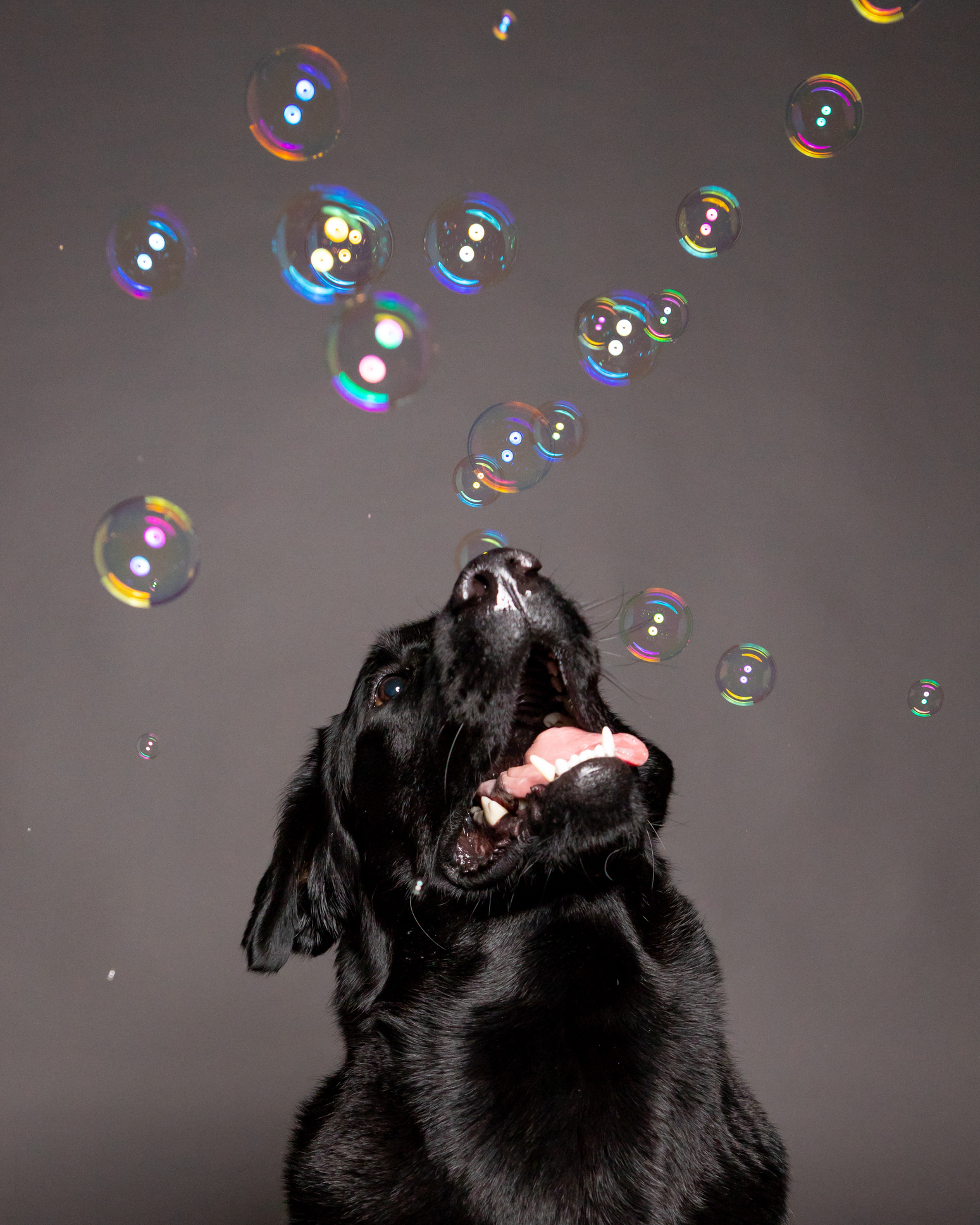 OiRELFyTTWywdPMV9dlW_iStock-951890964-1.jpg