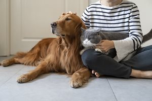 iStock-1289859249.jpg