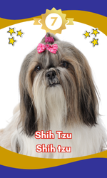 7-1.png 7-1.png