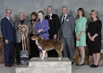 Cathy-French-Photography-2018-JN-4th-Place-Conformation-Emily-MacKay-1.jpg Cathy-French-Photography-2018-JN-4th-Place-Conformation-Emily-MacKay-1.jpg