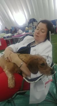 bSx634MHQ8ecWzKq1CAN_Exhausted-at-the-HKC-Shows-1.jpg