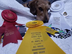 hy8JerX6RmugzRaW0bTF_Victor-2nd-place-1.jpg