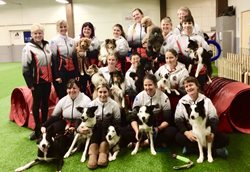team-canada-agility-1.jpg