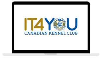 IT4YOU-computer-image.png