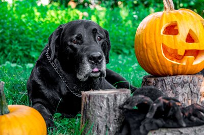 Hm94cTQ6OtJTq4K9cExQ_iStock-1176318388-1.jpg