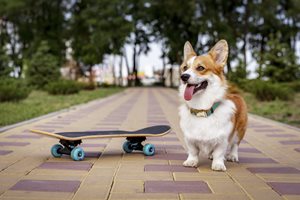 X8IOutbdTui6nljm4TLP_iStock-1061822610.jpg