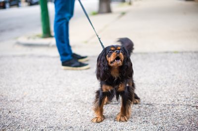 iCkEgTftRZOo4s5AQnGL_iStock-827138972.jpg