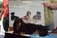 DSC_2167.JPG