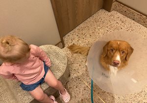 IMG_0009.jpeg