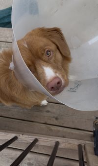 IMG_1111.jpeg