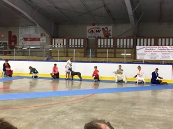 CKCJrNationals2017-1.jpg