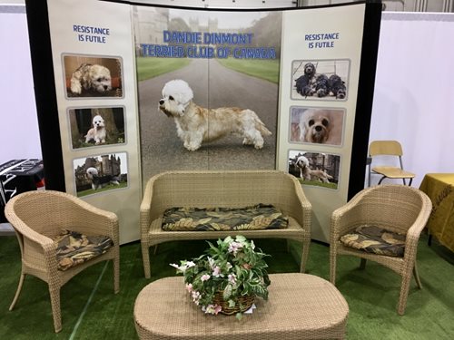 LCQTexuTQK32C3OFf3Jh_Pet-expo.jpg