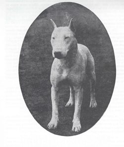 1918-BIS.jpg