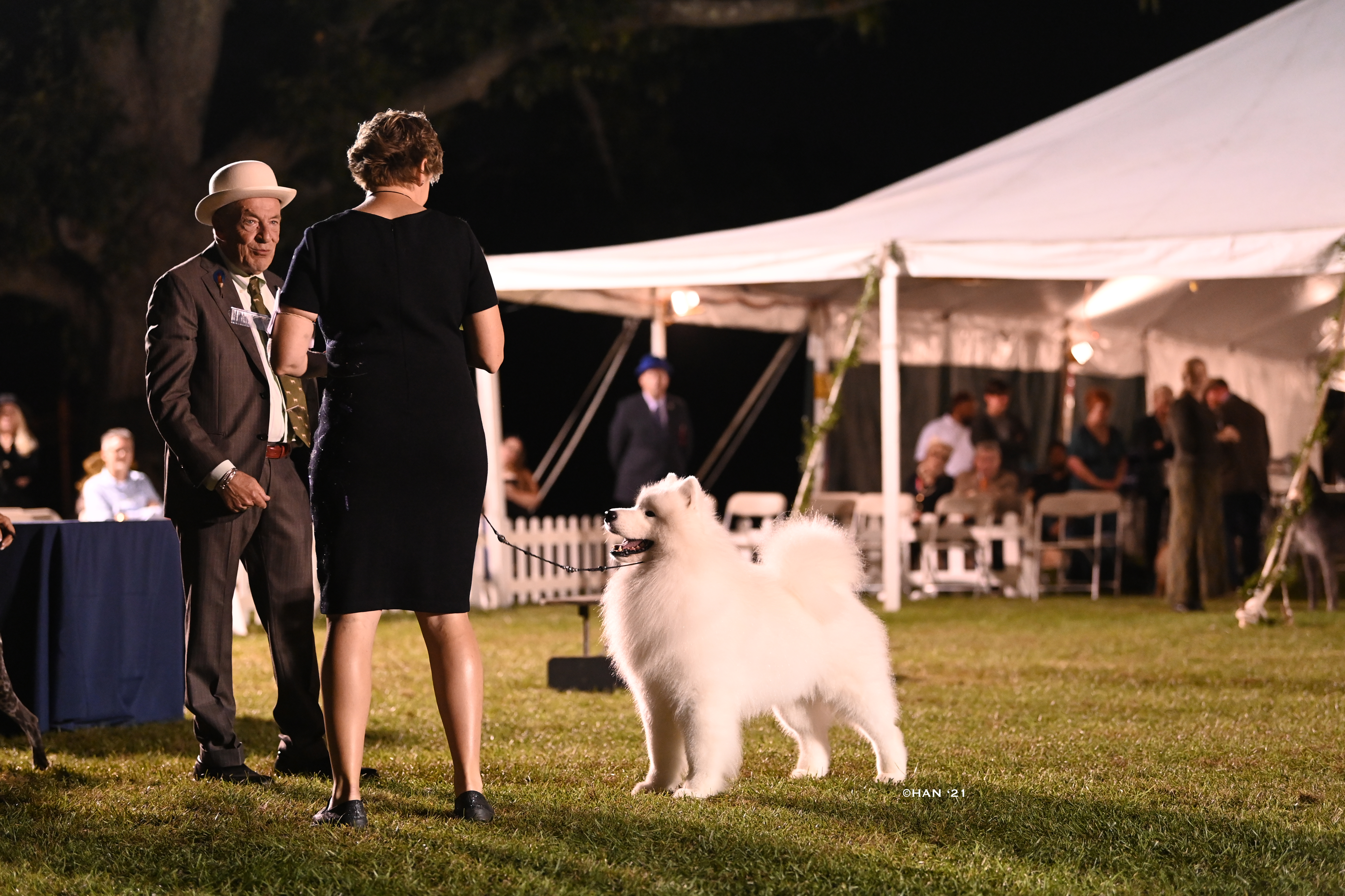 o0HYW3siQzGUP53OWp7v_Samoyed-20Elford2-20-20photo-20Diana-20Han.jpg