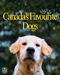 Most-Popular-Breeds-by-Zone-July-1.png