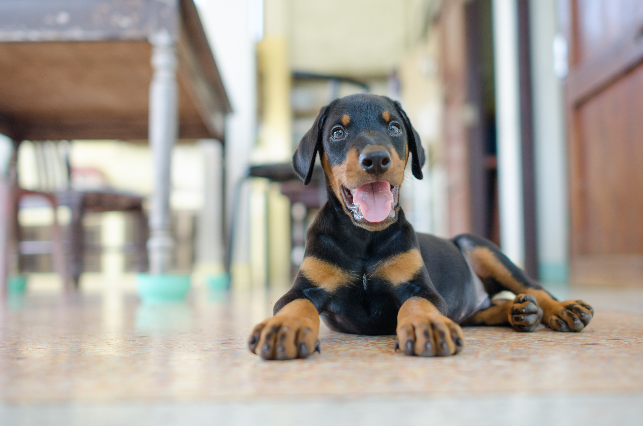 xRdp5c3yQDKtDaP0Iku3_iStock-174492070.jpg
