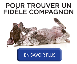 PuppyList