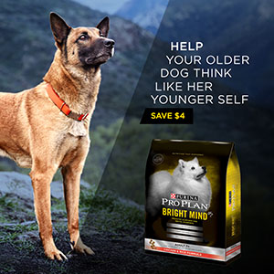 Purina