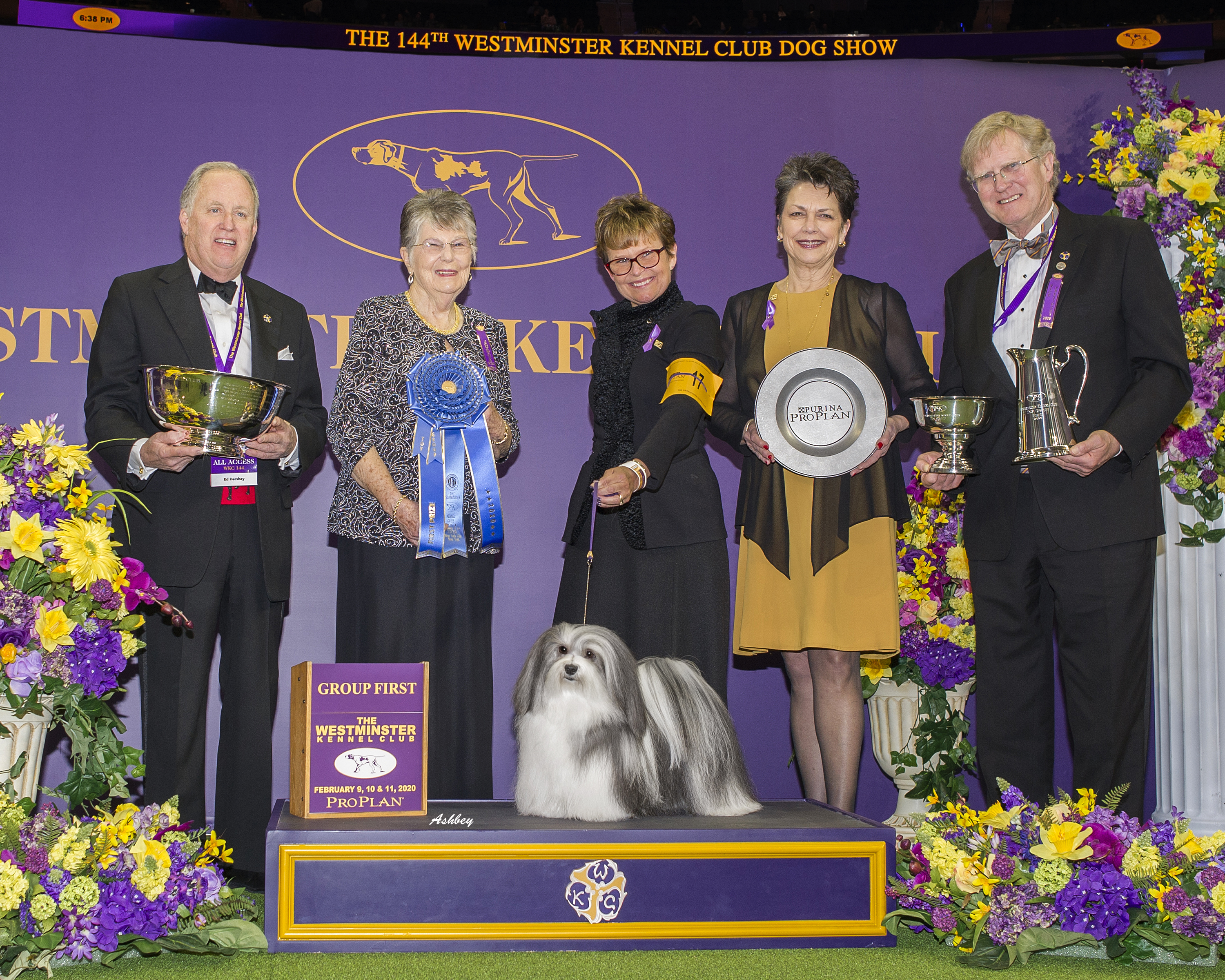 B48ou3G8QnqzLxU8JW2U_Bono-G1-Win-Pix-at-Westminster-2020-20018A355_2736.jpg B48ou3G8QnqzLxU8JW2U_Bono-G1-Win-Pix-at-Westminster-2020-20018A355_2736.jpg