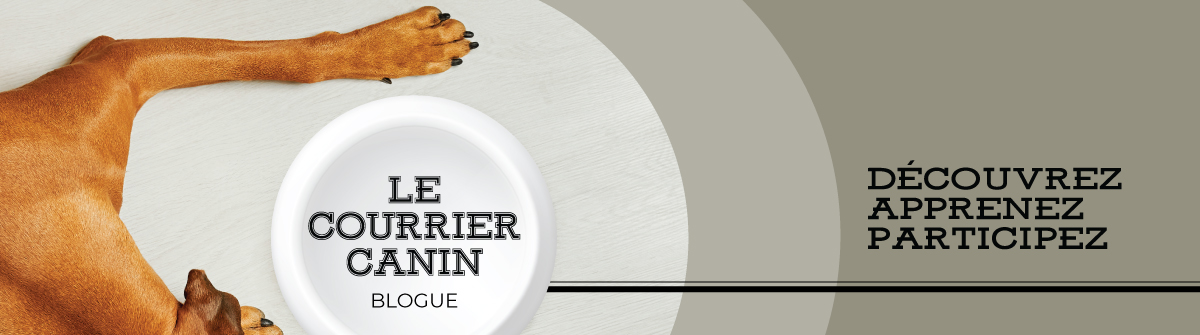The-Dish-French.jpg