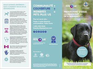 19NWnMSGRUWPbtsl7Ks5_PPU-brochure-capture-FR.jpg