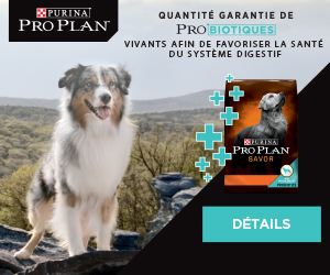 Purina